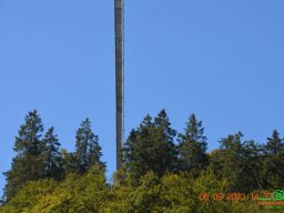 Skywalk Willingen